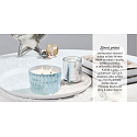 Yankee Candle Fresh Forest - Svěží les Special collection Winter Wish decor vonná svíčka malá 388 g