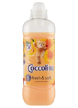 Coccolino Orange Rush koncentrovaná aviváž 39 dávek 975 ml