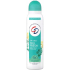 CD Feel Fresh Eukalyptus & Strohblume tělový deodorant sprej 150 ml