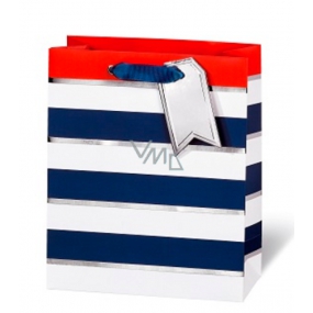 BSB Luxusní dárková papírová taška 23 x 19 x 9 cm Modro-bílé proužky LDT 392 - A5