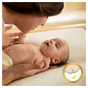 Pampers Premium Care 2 Mini 3-6 kg jednorázové plenky 80 kusů