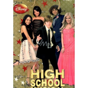 Ditipo Dárková papírová taška 26,4 x 12 x 32,4 cm Disney High School Musical