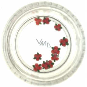 Professional Ozdoby na nehty květina červené se zeleným 132