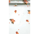 Ditipo Dárkový celofán vánoční 70 x 250 cm Perníčky, pomeranč, šišky