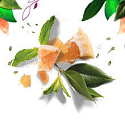 Herbal Essences Volume White Grapefruit & Mosa Šampon s grapefruitem a mátou, pro větší objem vlasů, bez parabenů 400 ml