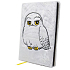 Epee Merch Harry Potter - Hedvika Blok A5 20 x 14 cm premium linkovaný