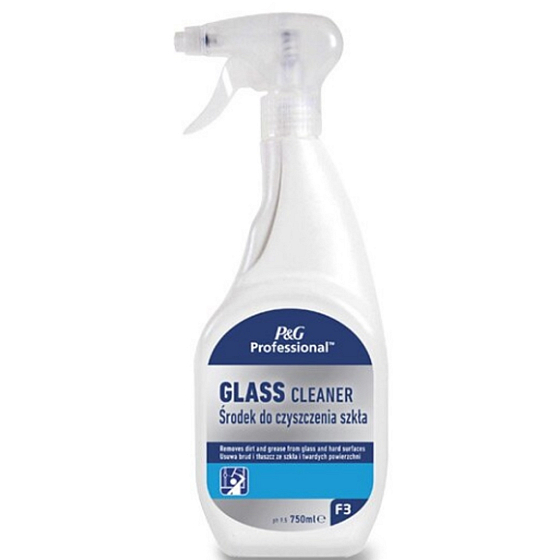 Mr. Proper P&G Professional čisticí prostředek oken a skel 750 ml rozprašovač