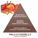 Millefiori Milano Natural Mela & Cannella - Jablko a Skořice Náplň difuzéru pro vonná stébla 250 ml