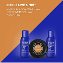 Baylis & Harding Auto Citrus, limetka a máta sprchový gel 30 ml + mycí gel na tělo a vlasy 30 ml + tuhé mýdlo 50 g, kosmetická sada pro muže