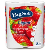 Big Soft Gigant papírové utěrky 80 utěrek 2 kusy