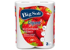 Big Soft Gigant papírové utěrky 80 utěrek 2 kusy