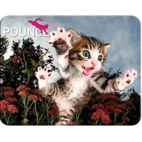 Prime3D pohlednice - Kotě 16 x 12 cm