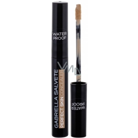 Gabriella Salvete Perfect Skin Concealer voděodolný korektor 01 6,2 ml