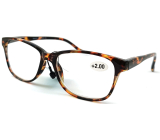 Berkeley Čtecí dioptrické brýle +2,0 plast mourovaté hnědé 1 kus MC2224