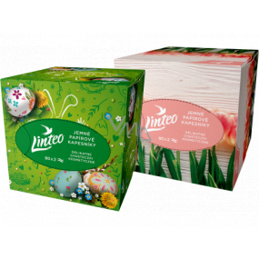 Linteo Soft & delicate papírové kapesníky bílé 2 vrstvé 80 kusů Velikonoční bílé