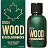 Dsquared2 Green Wood toaletní voda pro muže 30 ml