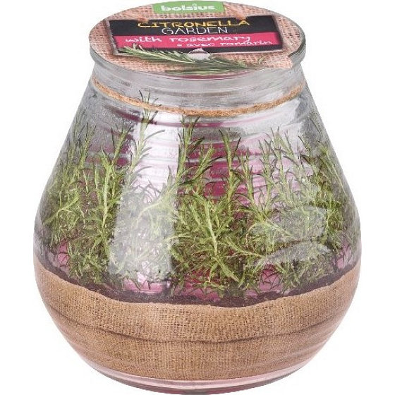 Bolsius Citronella vonná svíčka sklo Rozmarýn 90 x 94 mm