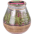 Bolsius Citronella vonná svíčka sklo Rozmarýn 90 x 94 mm