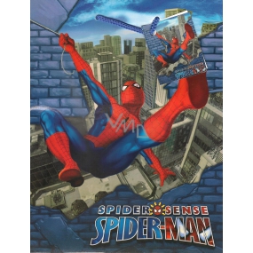 Ditipo Dárková papírová taška 18 x 10 x 22,7 cm Disney Spiderman
