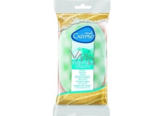 Calypso Passion Essentials Vitality koupelová houba různé barvy 1 kus