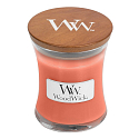 WoodWick Tamarind & Stonefruit - Tamarind a peckovice vonná svíčka s dřevěným knotem a víčkem sklo malá 85 g