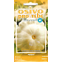 Seva - Flora Patizon White Custard 1,5 g