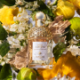 Guerlain Aqua Allegoria Bergamote Calabria tělové mléko unisex 200 ml