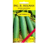 Holman F1 Viktorie okurky salátové 1 g