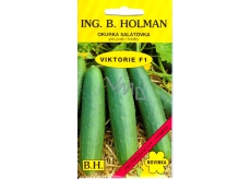 Holman F1 Viktorie okurky salátové 1,5 g