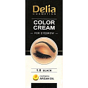 Delia Cosmetics Color Cream barvící krém na obočí s arganovým olejem 1.0 Black 15 ml + 15 ml