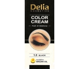 Delia Cosmetics Color Cream barvící krém na obočí s arganovým olejem 1.0 Black 15 ml + 15 ml