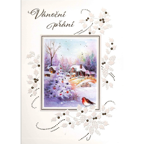 Albi Hrací přání do obálky vánoční Krajina se stromečkem a ptáčkem 14,8 x 21 cm