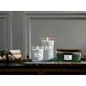 WoodWick Magnolia Birch - Magnólie a bříza vonná svíčka s dřevěným knotem a víčkem sklo malá 85 g