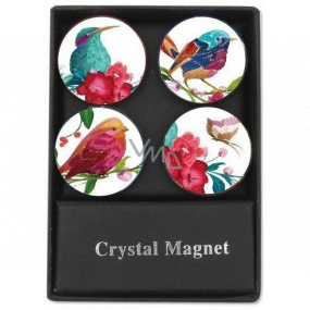 Albi Krystalové magnetky Ptáčci 4 kusy