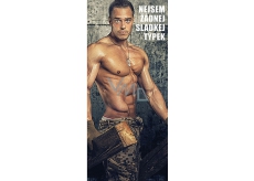 Bohemia Gifts Mléčná čokoláda Nejsem žádnej sladkej týpek, dárková 100 g