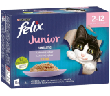 Felix Fantastic Junior kapsičky pro kočky v želé kuřecí, sardinky, hovězí a losos 12 x 85 g