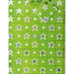 Nekupto Dárková papírová taška hologram 23 x 18 x 10 cm Vánoční, zelená, 016 50 GM