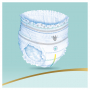 Pampers Premium Care velikost 4, 9-15 kg plenkové kalhotky 22 kusů