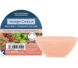 Yankee Candle Tranquil Garden - Tichá zahrada vonný vosk do aromalampy 22 g