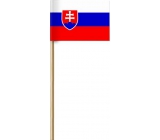 Arch Papírová vlajka Slovenské republiky na dřívku 42 cm 1 kus