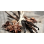 Millefiori Milano Natural Vanilla & Wood - Vanilka a Dřevo Aroma olej 15 ml