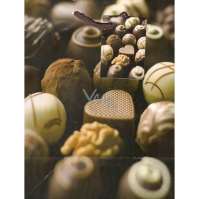 Nekupto Dárková papírová taška 23 x 18 x 10 cm Čokoládové bonbony 1 kus 642 01