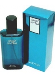 Davidoff Cool Water Men toaletní voda 125 ml