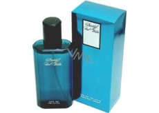 Davidoff Cool Water Men toaletní voda 125 ml