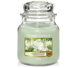 Yankee Candle Afternoon Escape - Odpolední únik vonná svíčka Classic střední sklo 411 g