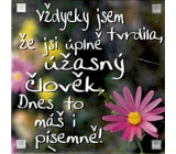 Albi Magnet Vždycky jsem tvrdila, že jsi úplně úžasný člověk. Dnes to máš i písemně! 6,5 x 6,5 cm