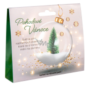 Albi Koření na punč v krabičce Pohodové Vánoce 50 g