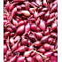Karmen, Sazečka cibule červená 20 kg