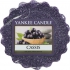 Yankee Candle Cassis - Černý rybíz vonný vosk do aromalampy 22 g
