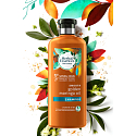 Herbal Essences Smooth Golden Moringa Oil Šampon s moringovým olejem, pro hladké vlasy a snadné rozčesávání, bez parabenů 400 ml